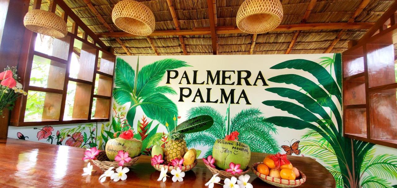 Palmera Palma Top Floor Моалбоал Екстер'єр фото